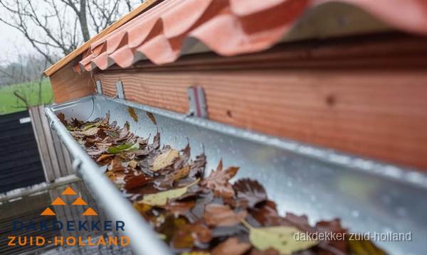 Dakgoot vol bladeren die gereinigd moet worden in Zuid-Holland