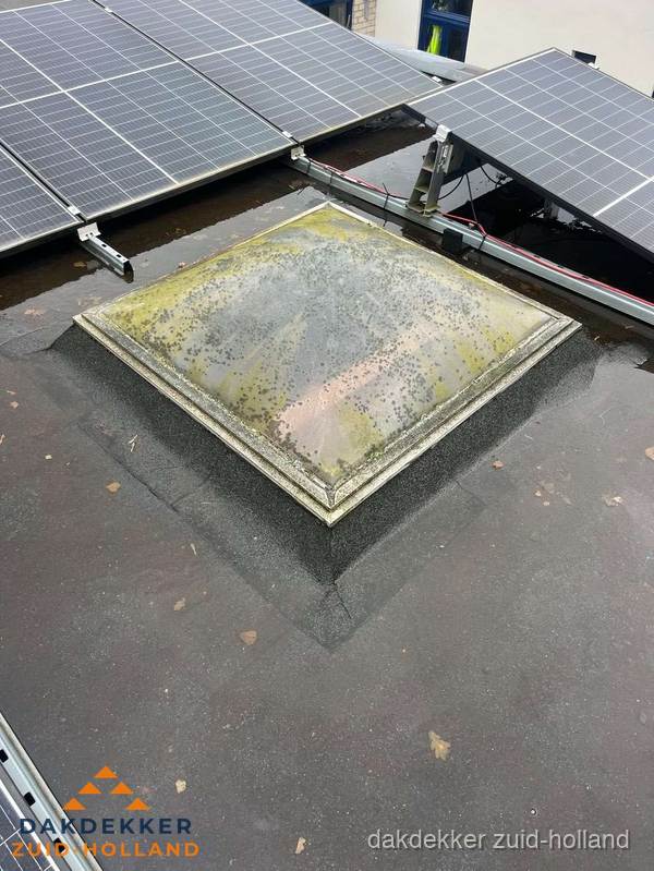 Vervuilde lichtkoepel op plat dak met zonnepanelen in Zuid-Holland