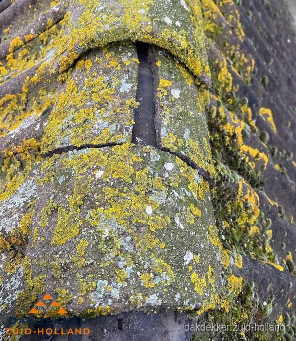 Spoed dakreparatie nodig: beschadigde nokvorst op schuin dak in Zuid-Holland