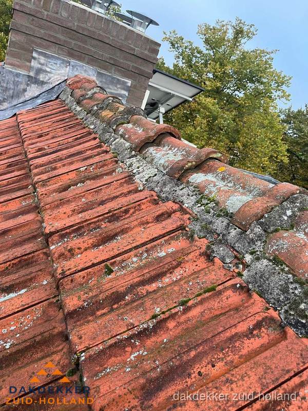 Verweerd hellend dak met mosgroei op nokvorst in Zuid-Holland