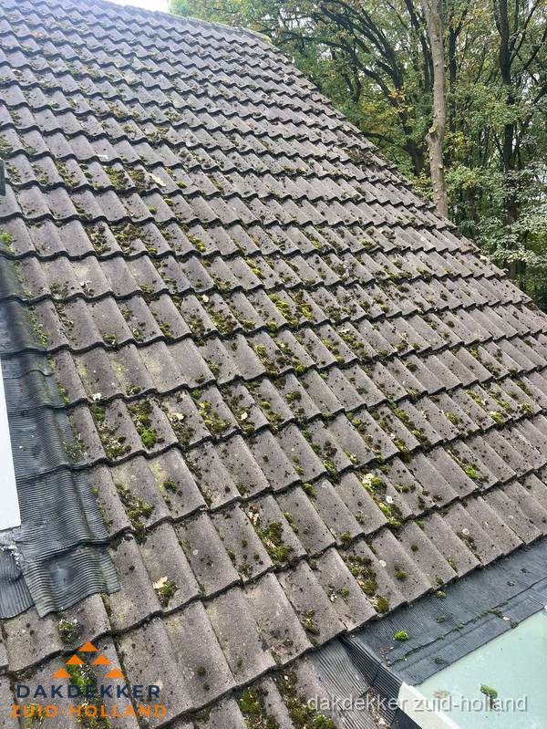 Verweerd pannendak met mosgroei dat renovatie nodig heeft in Zuid-Holland