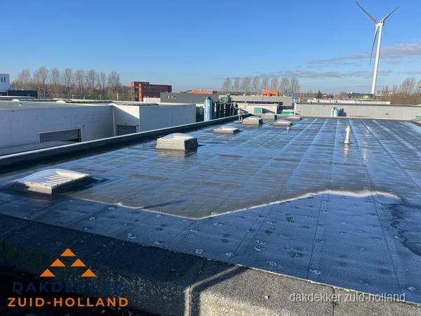 Plat dak bedrijfspand met bitumen dakbedekking en lichtkoepels in Zuid-Holland