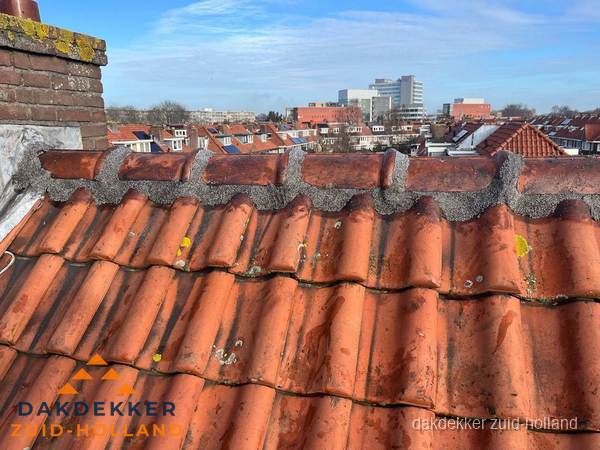 Pannendak met nokvorst en schoorsteen, dakrenovatie in Zuid-Holland