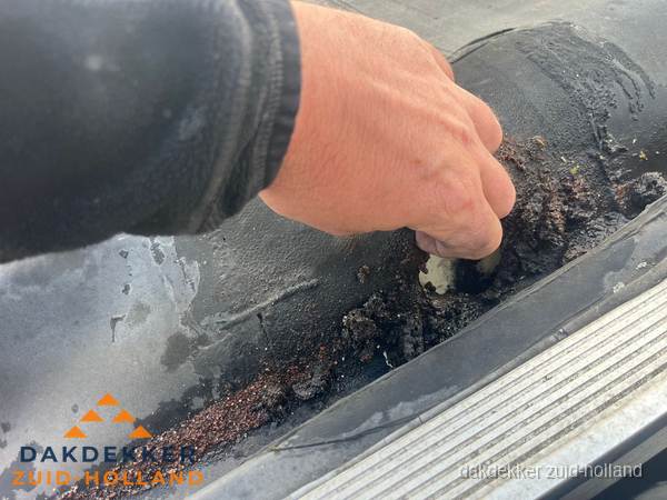 Schade aan bitumen dakbedekking op plat dak in Zuid-Holland