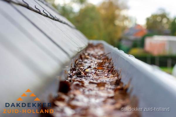 Verstopte dakgoot met bladeren schoonmaken in Zuid-Holland Verstopte dakgoot met bladeren schoonmaken in Zuid-Holland