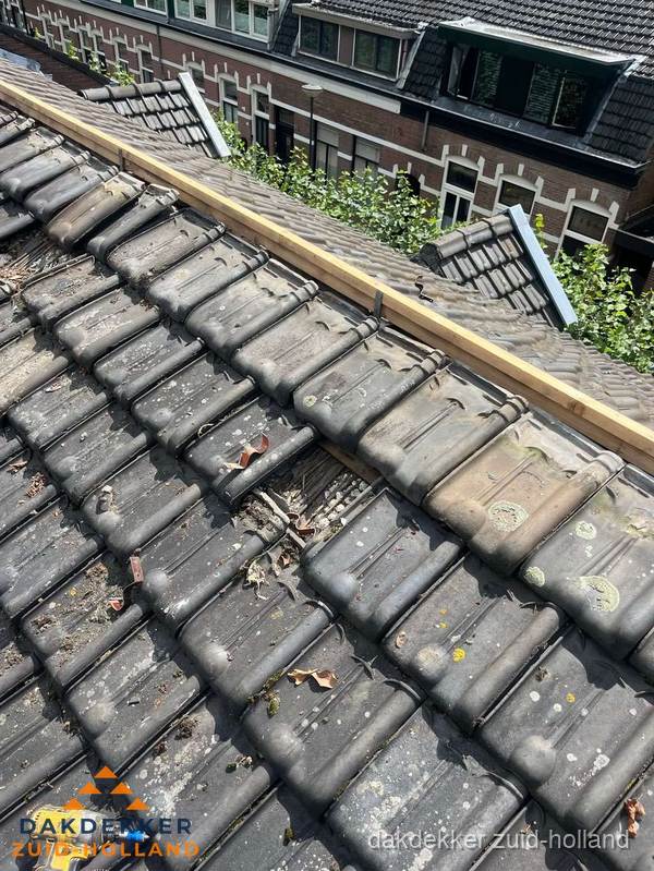 Dakonderhoud aan schuin pannendak met nokvernieuwing in Zuid-Holland